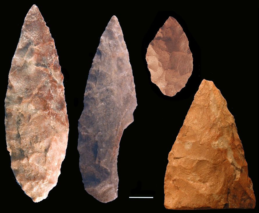 The Role Of Climate On African Stone Age Technology ...