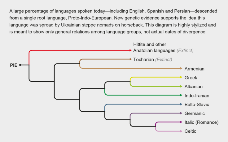 Credit: Tiffany Farrant-Gonzalez; Source: “Mapping the Origins and Expansion of the Indo-European Language Family,” by Remco Bouckaert et al., in Science, Vol. 337; August 24, 2012